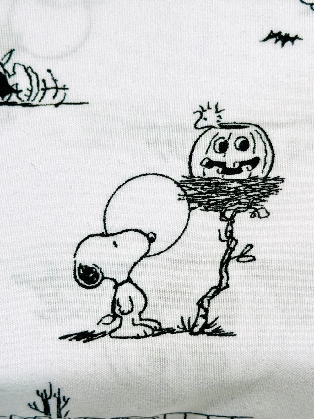 Peanuts Snoopy Charlie Brown Halloween Black White Pumpkin Patch Full Sheet